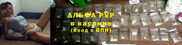 каннабис Корсаков