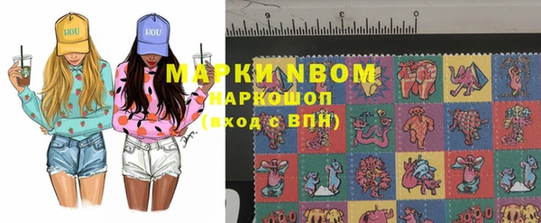 амф Коряжма