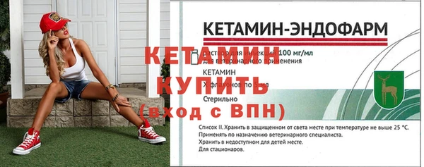 каннабис Корсаков