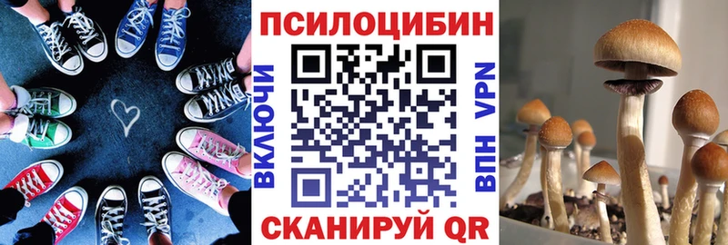 блэк спрут ссылка  Красково  Псилоцибиновые грибы Cubensis  купить  сайты 